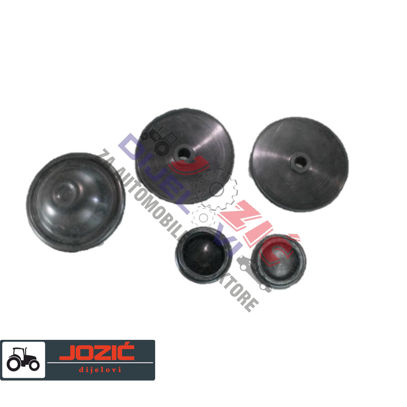 Daisy on the Ohoopee