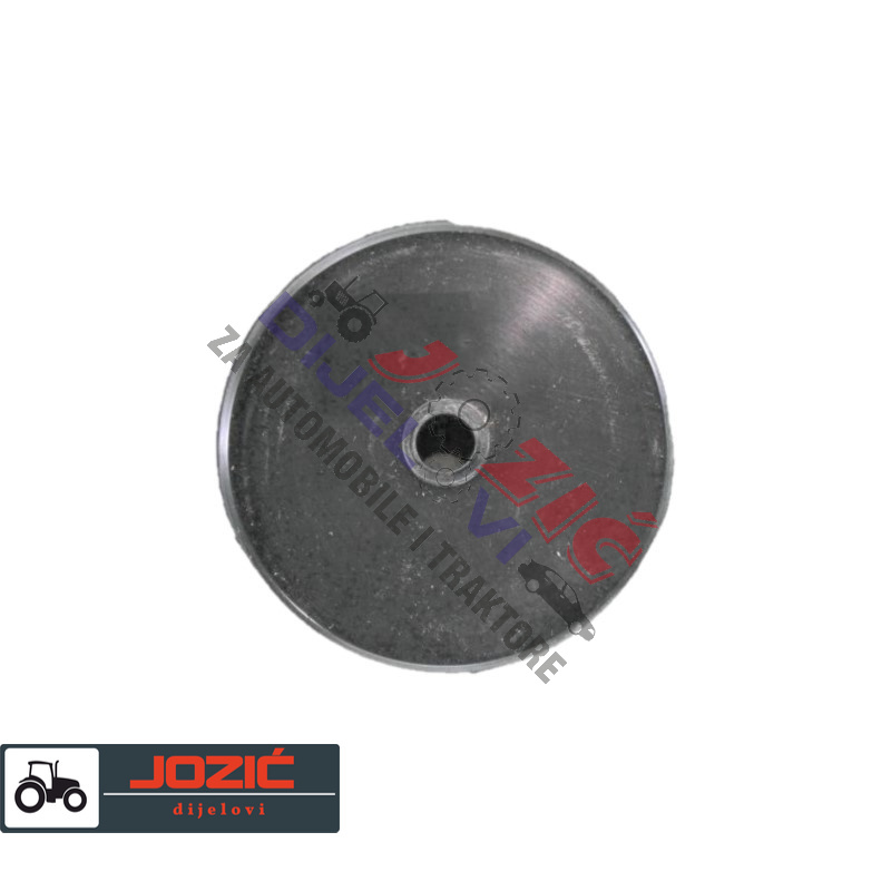 Daisy on the Ohoopee