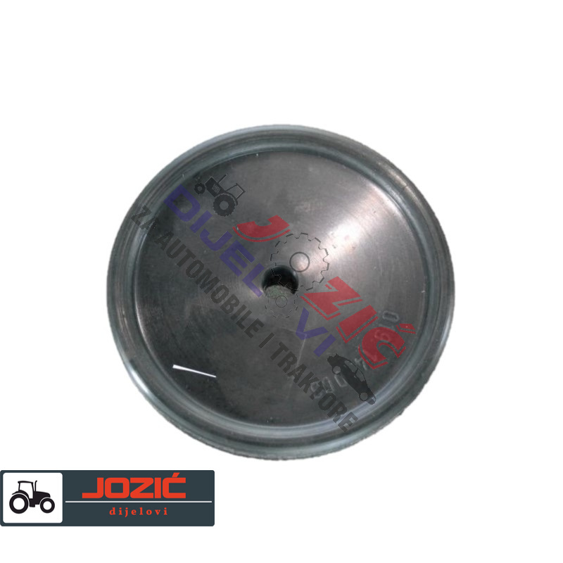 Daisy on the Ohoopee