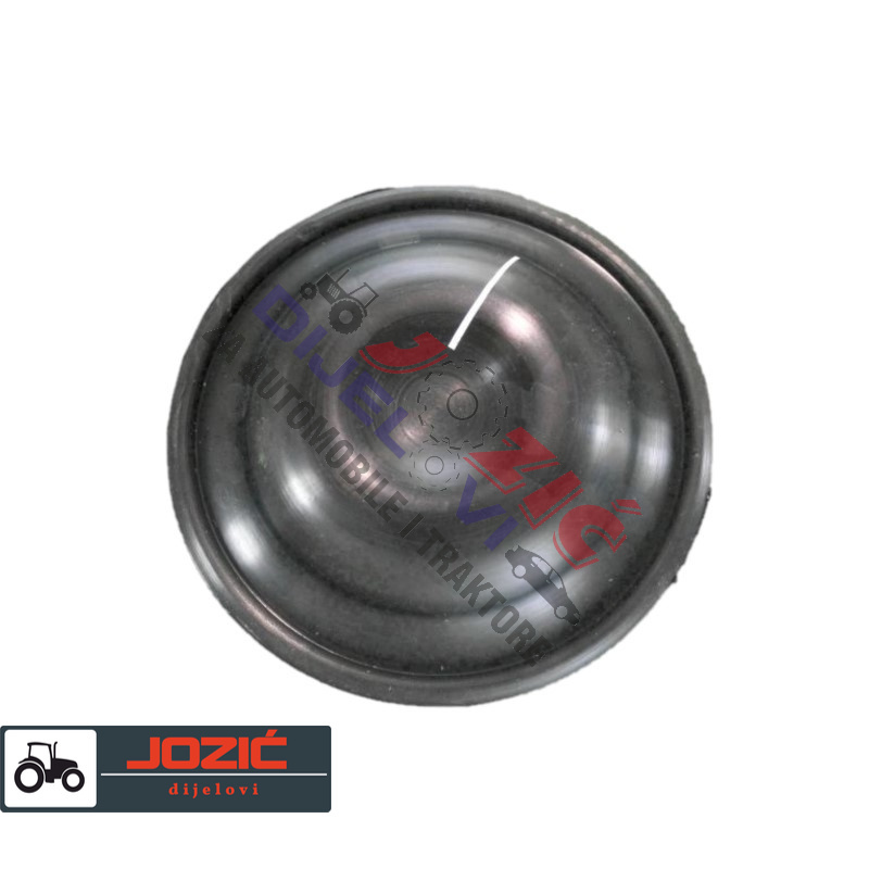 Daisy on the Ohoopee