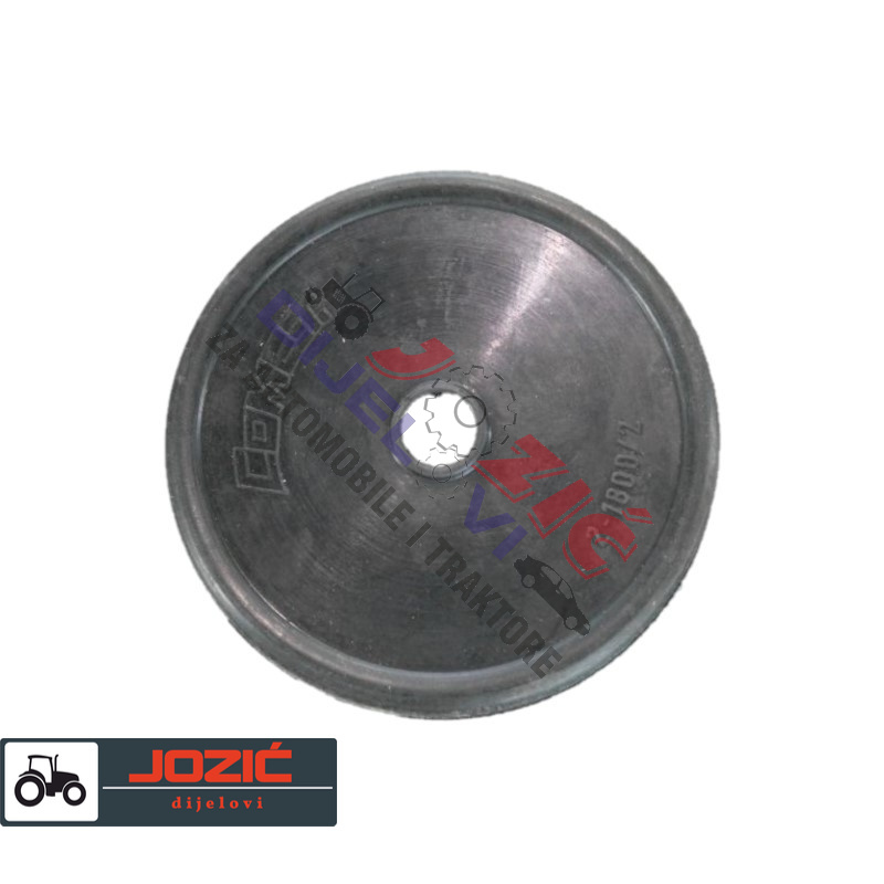 Daisy on the Ohoopee