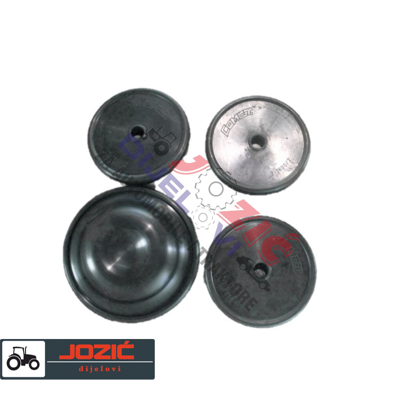 Daisy on the Ohoopee