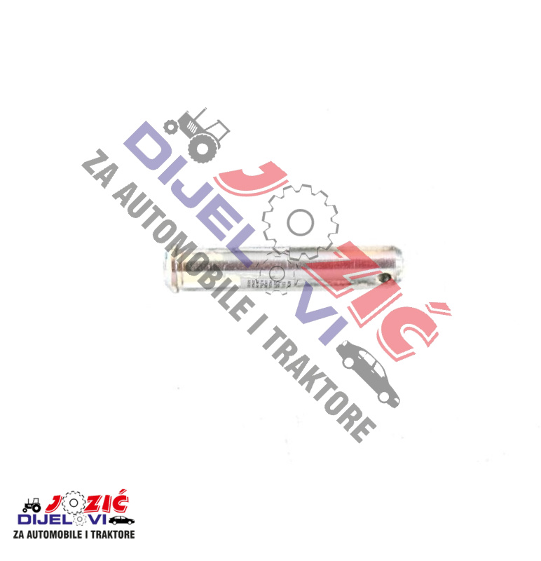 Daisy on the Ohoopee