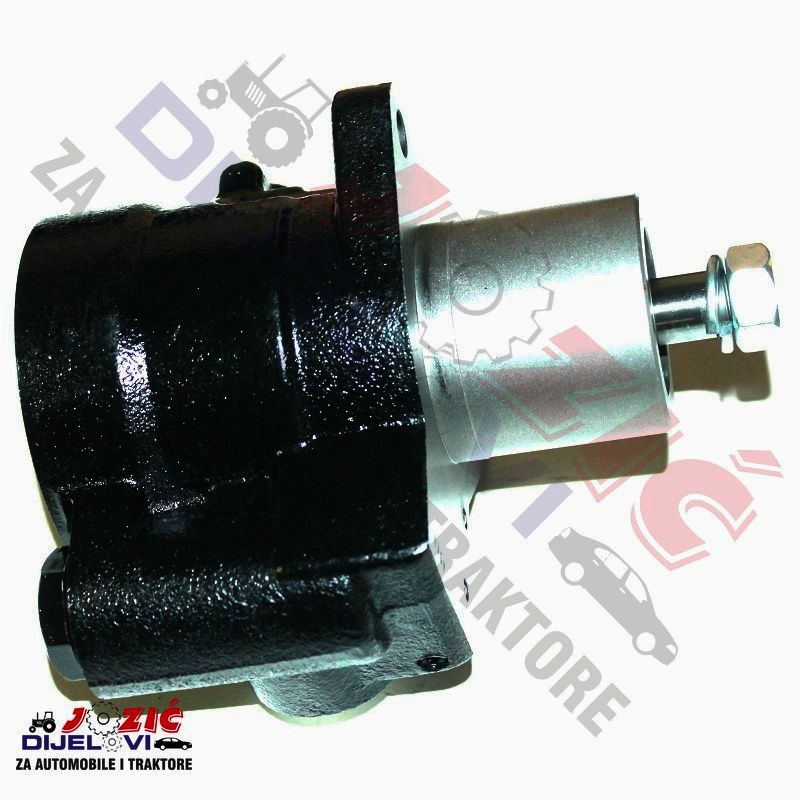 Daisy on the Ohoopee