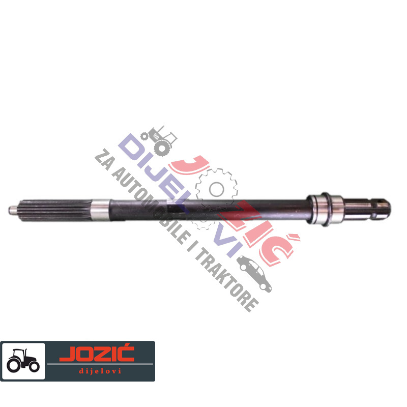 Daisy on the Ohoopee