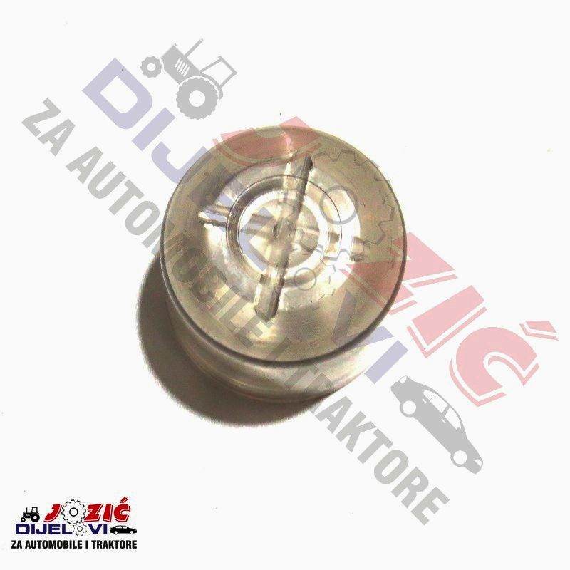 Daisy on the Ohoopee