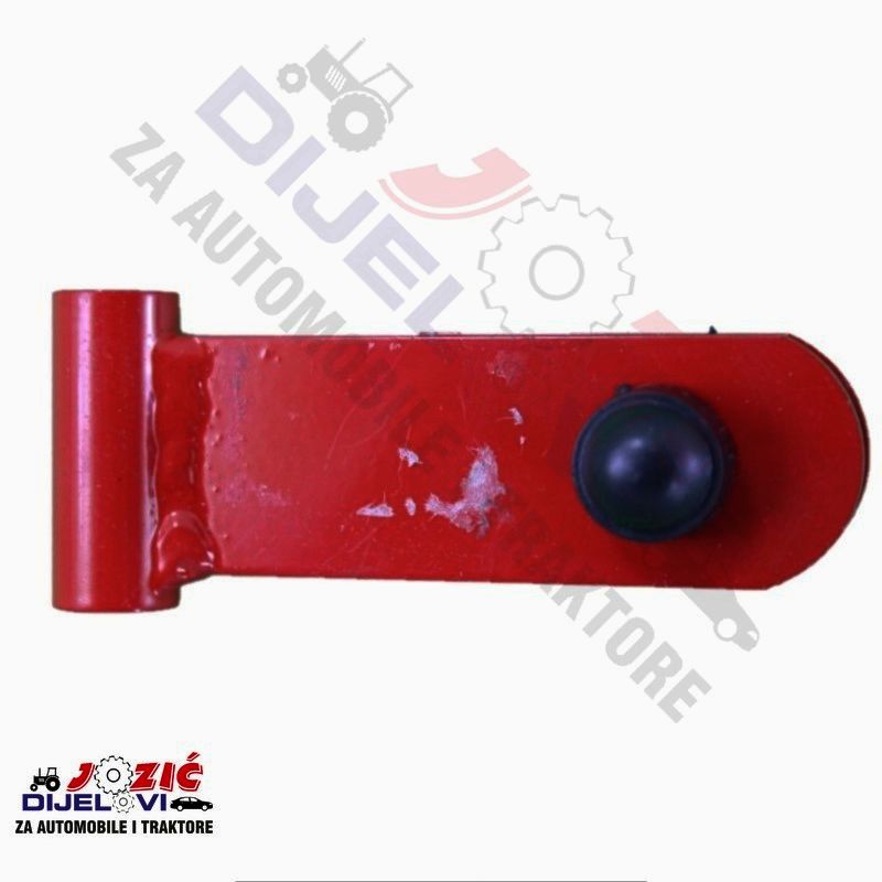 Daisy on the Ohoopee