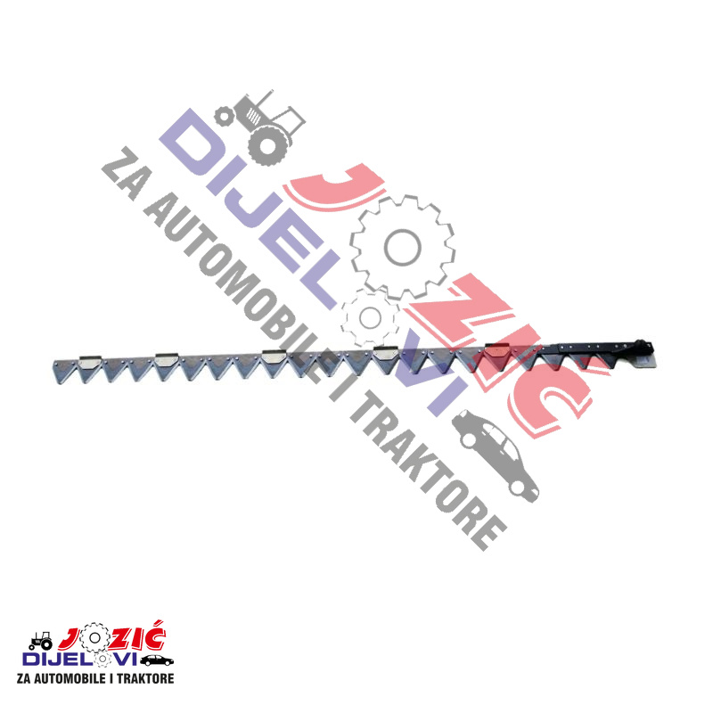 Daisy on the Ohoopee