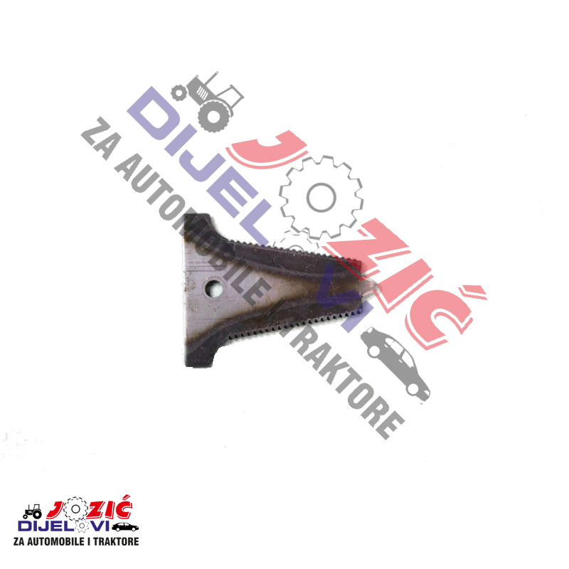 Daisy on the Ohoopee