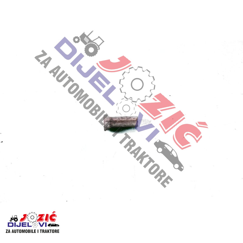 Daisy on the Ohoopee