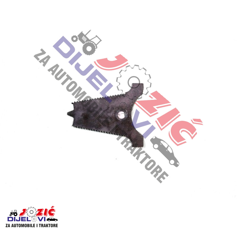 Daisy on the Ohoopee