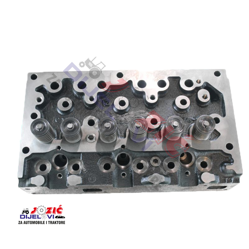 Daisy on the Ohoopee