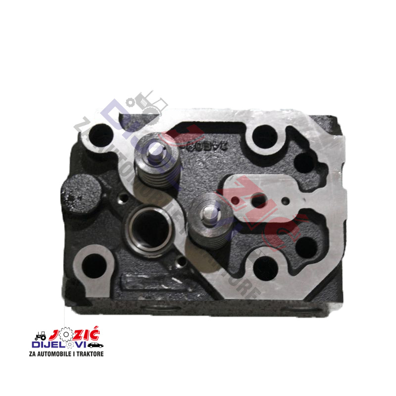 Daisy on the Ohoopee