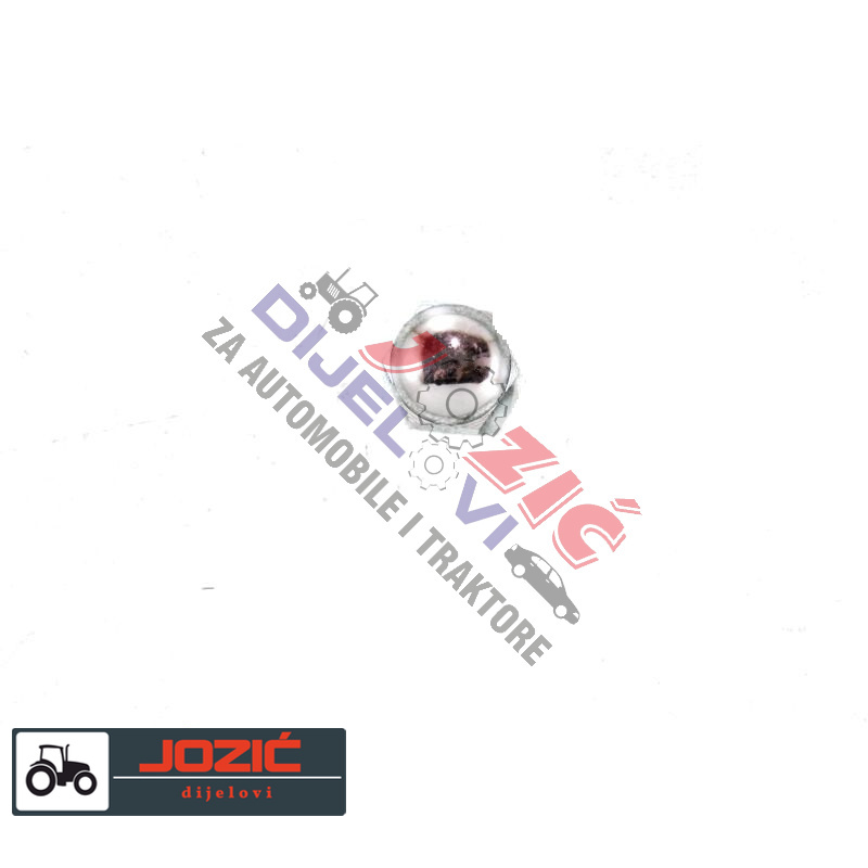 Daisy on the Ohoopee