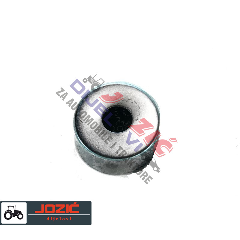 Daisy on the Ohoopee