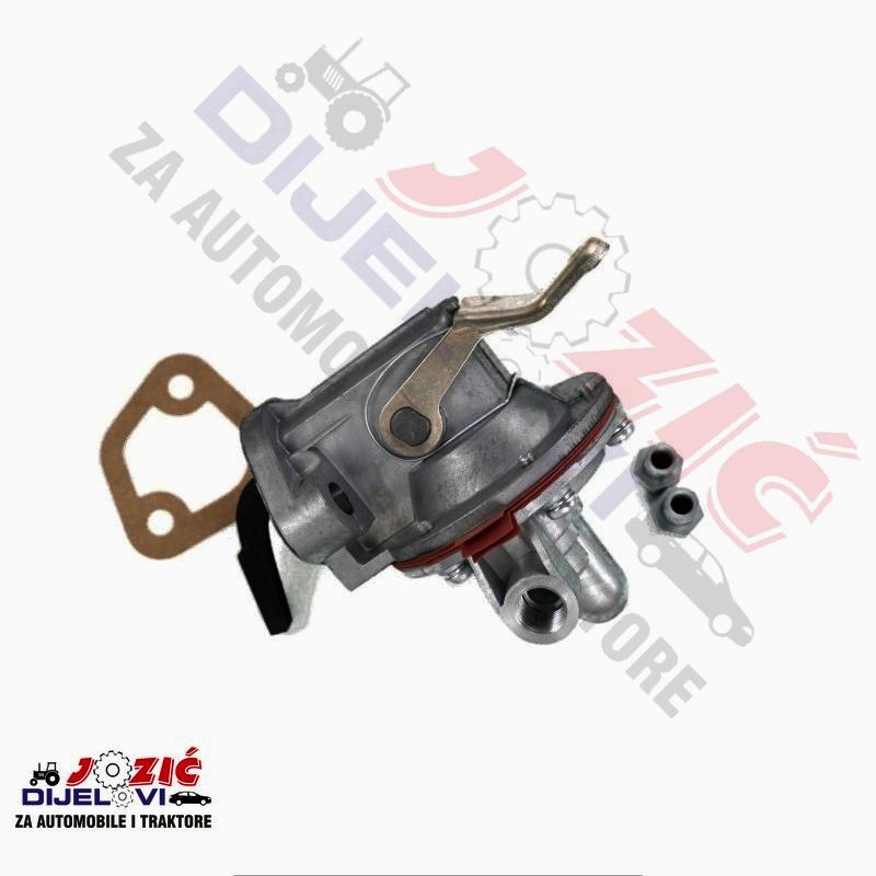 Daisy on the Ohoopee