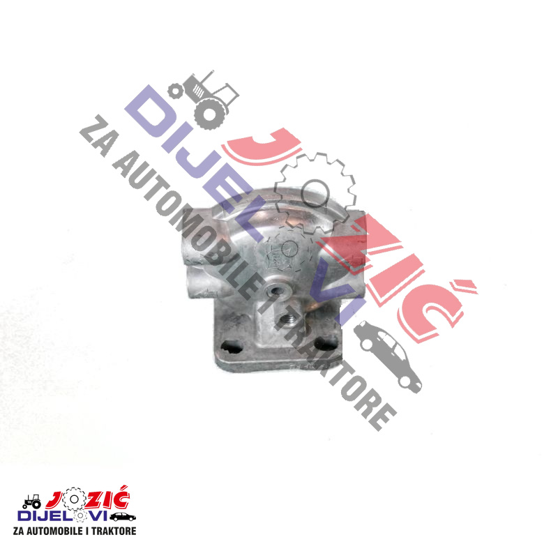 Daisy on the Ohoopee