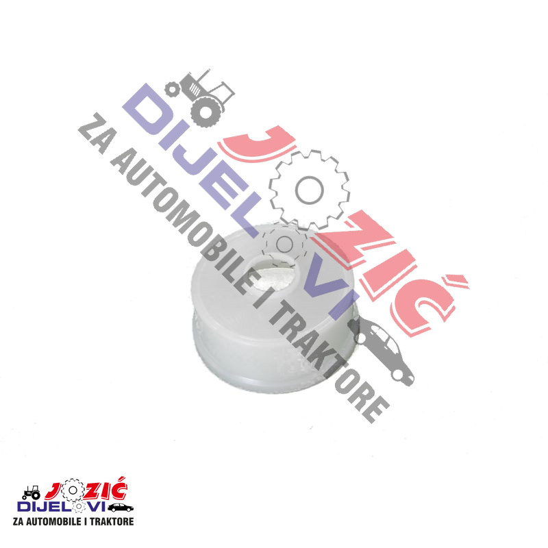 Daisy on the Ohoopee