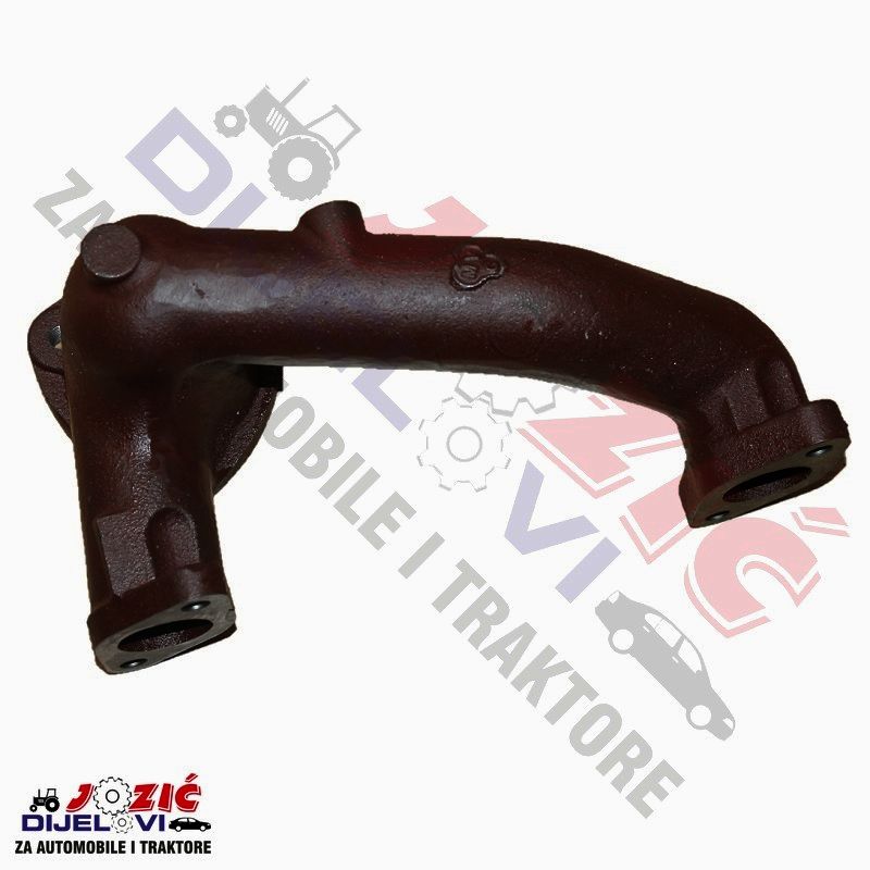 Daisy on the Ohoopee