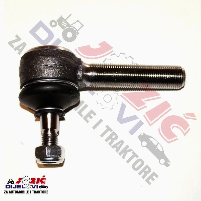 Daisy on the Ohoopee