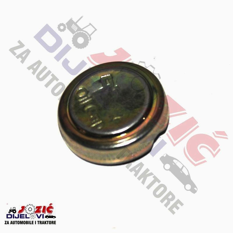 Daisy on the Ohoopee