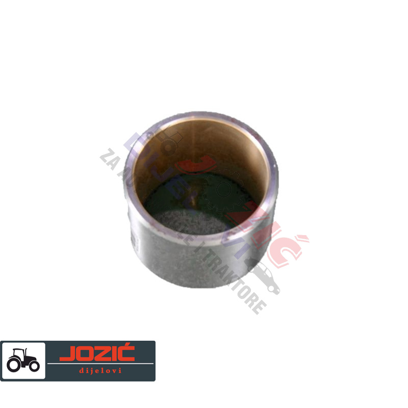 Daisy on the Ohoopee