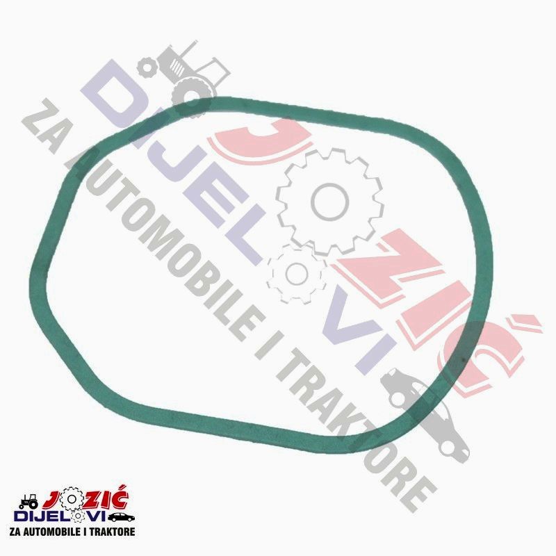 Daisy on the Ohoopee