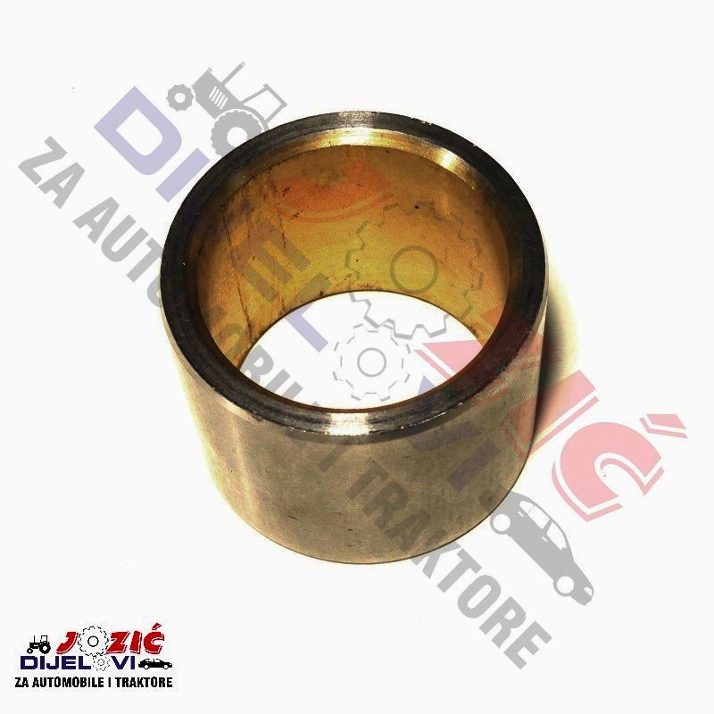 Daisy on the Ohoopee