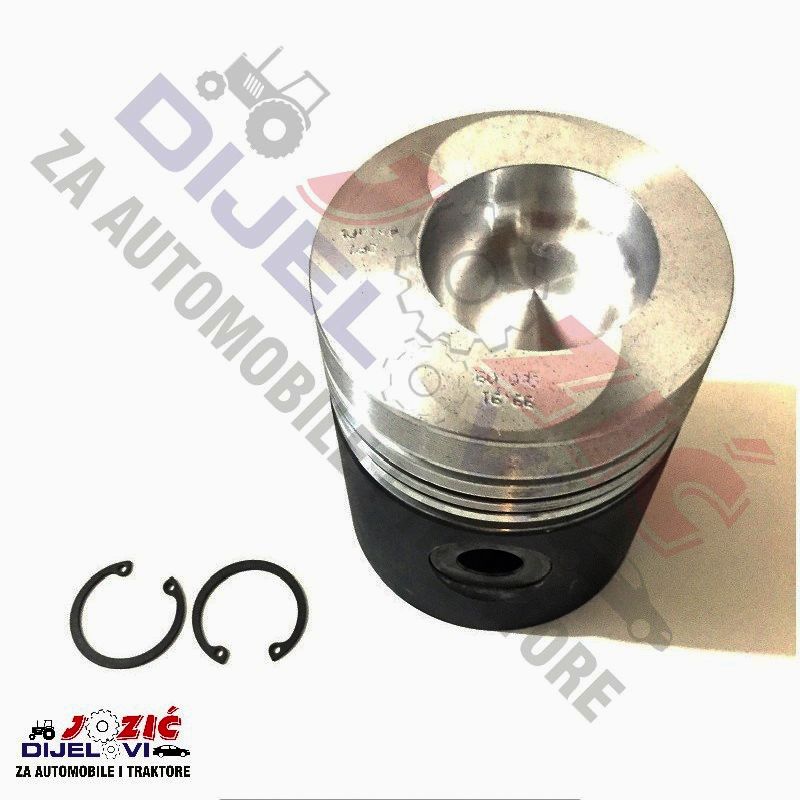 Daisy on the Ohoopee