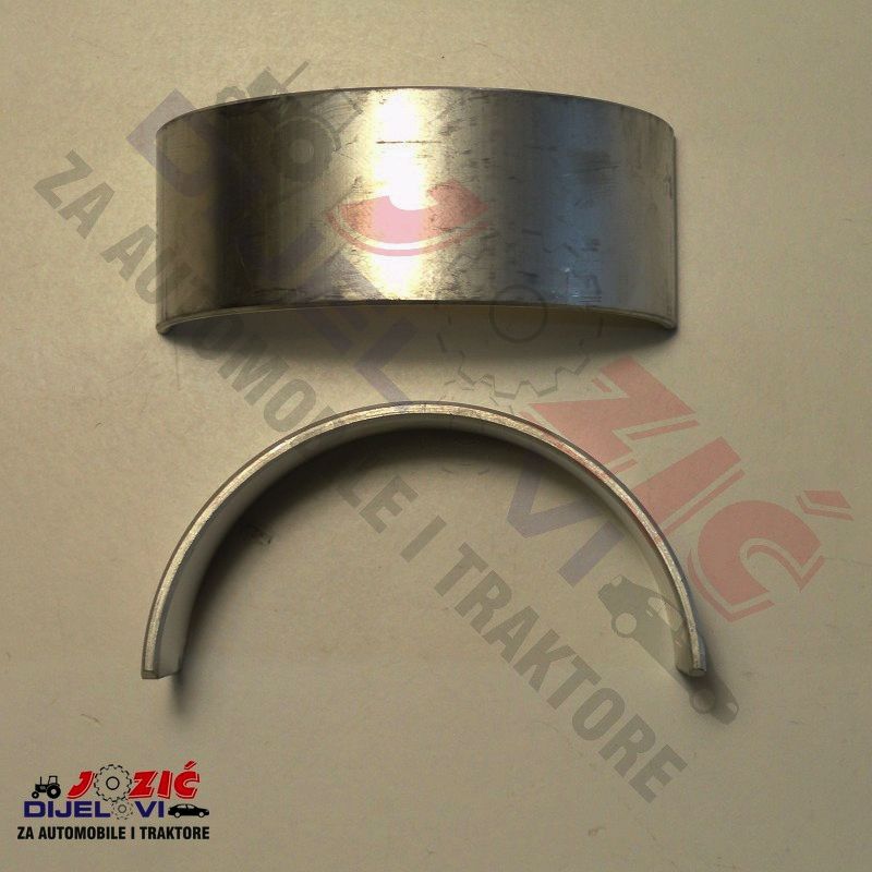 Daisy on the Ohoopee