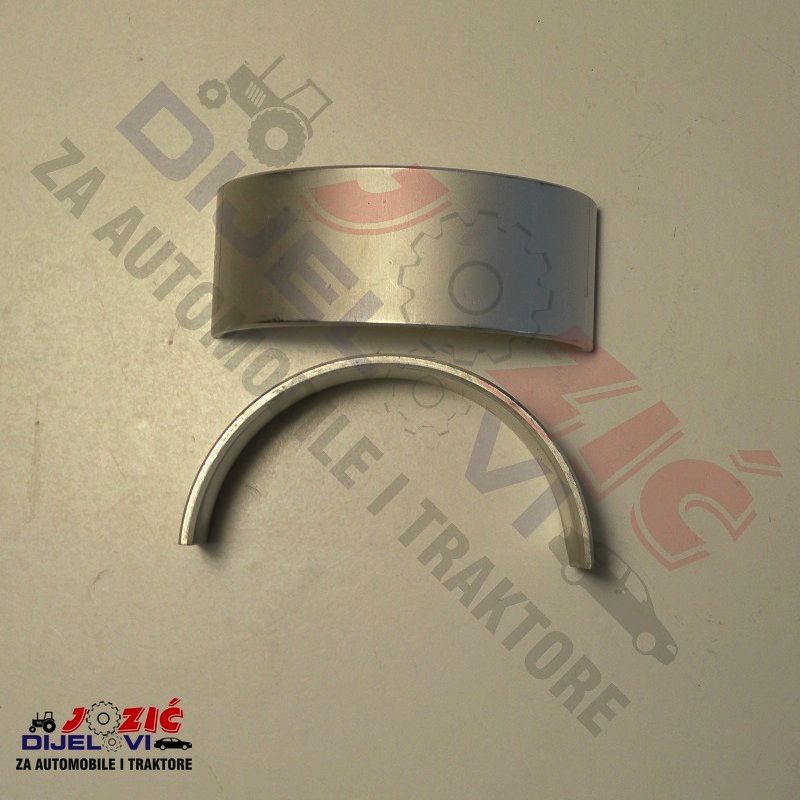 Daisy on the Ohoopee