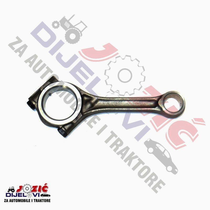 Daisy on the Ohoopee