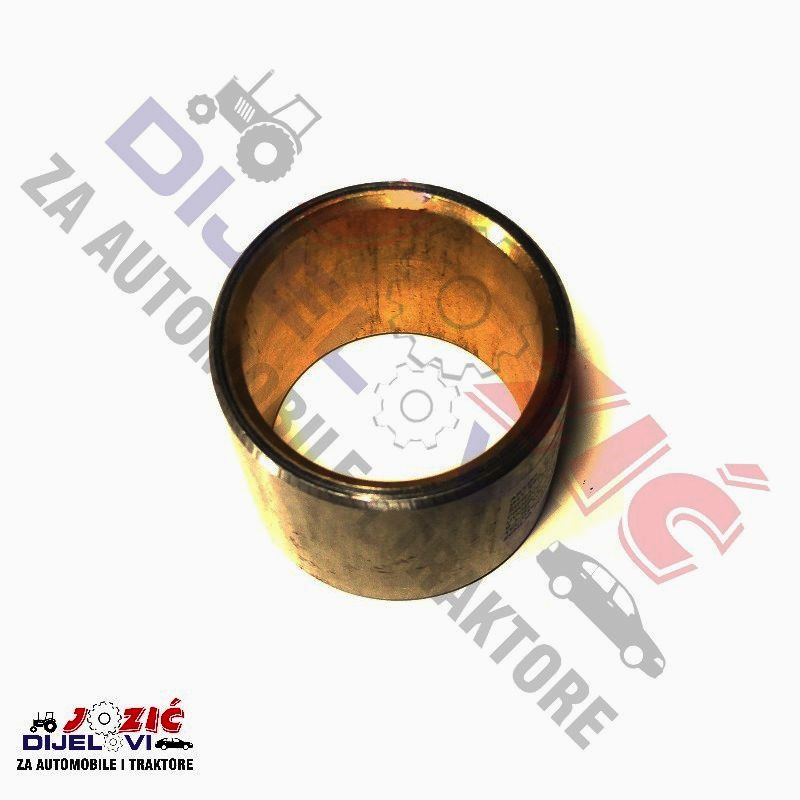 Daisy on the Ohoopee