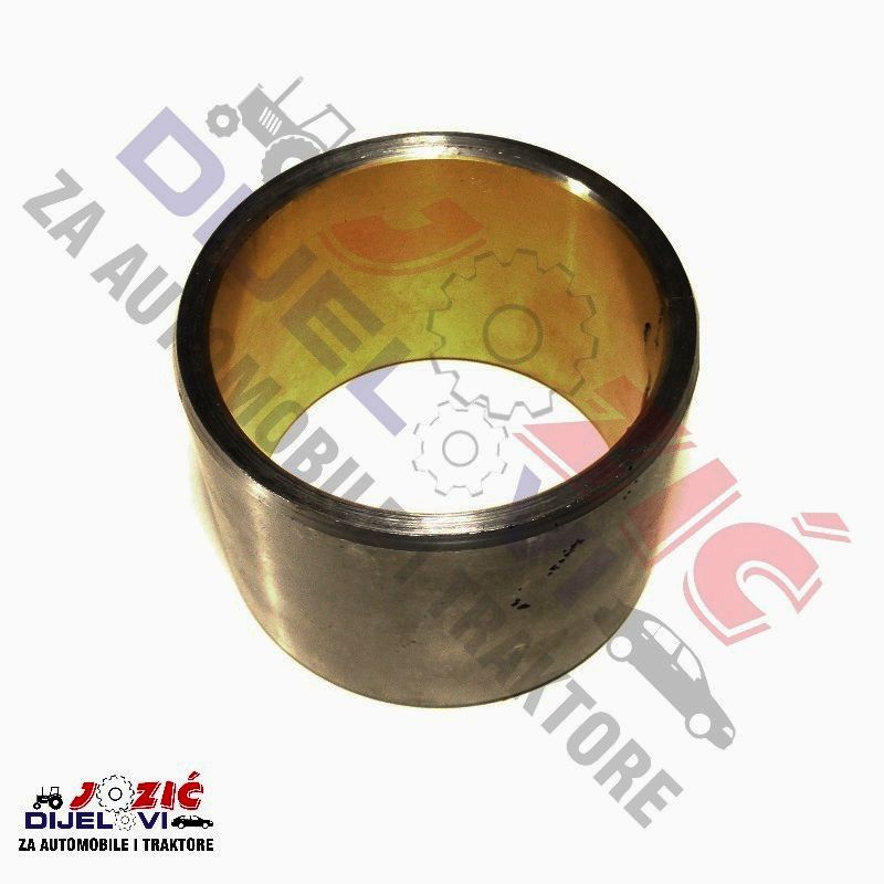 Daisy on the Ohoopee