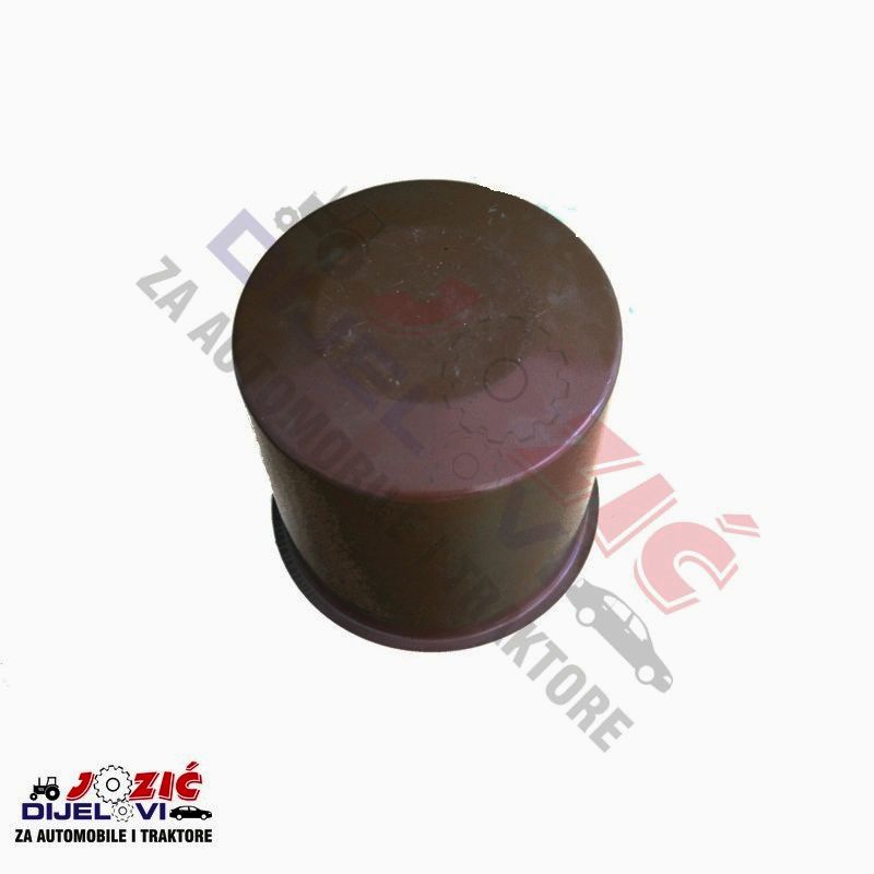 Daisy on the Ohoopee