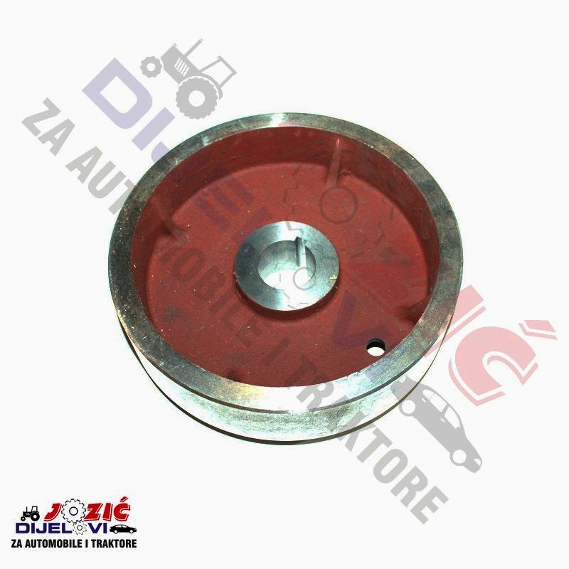 Daisy on the Ohoopee