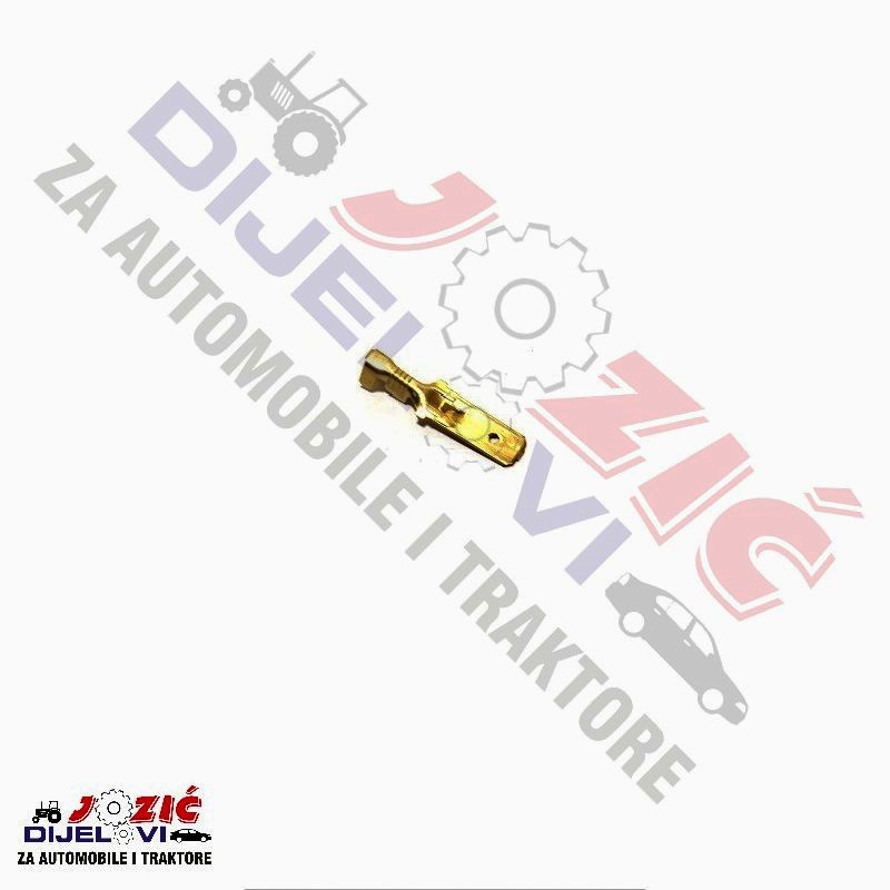 Daisy on the Ohoopee