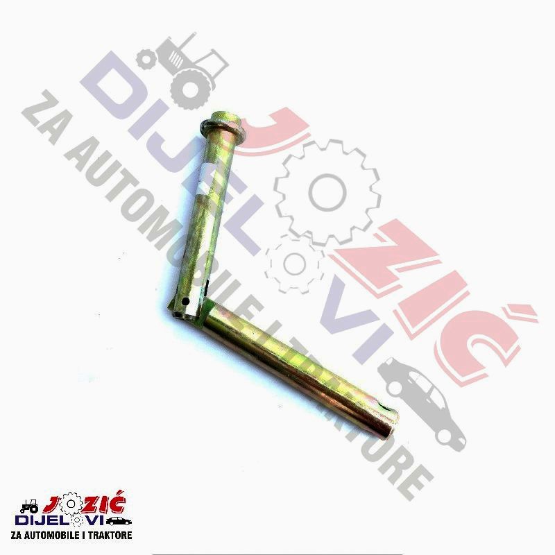 Daisy on the Ohoopee