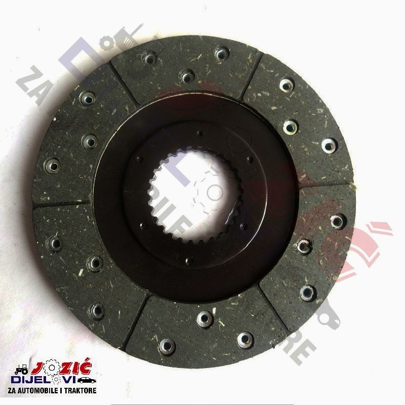 Daisy on the Ohoopee