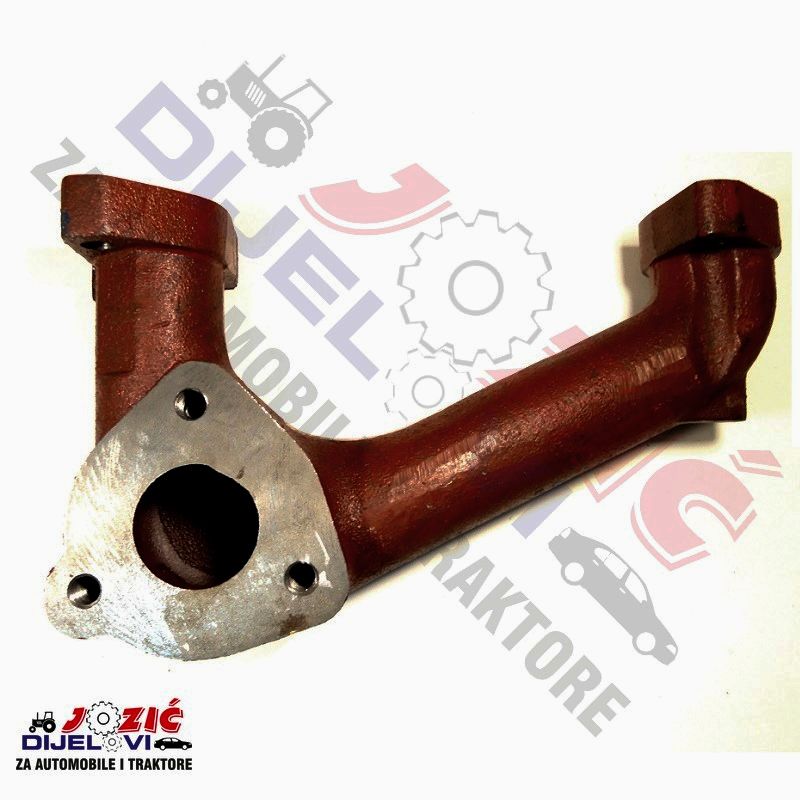 Daisy on the Ohoopee