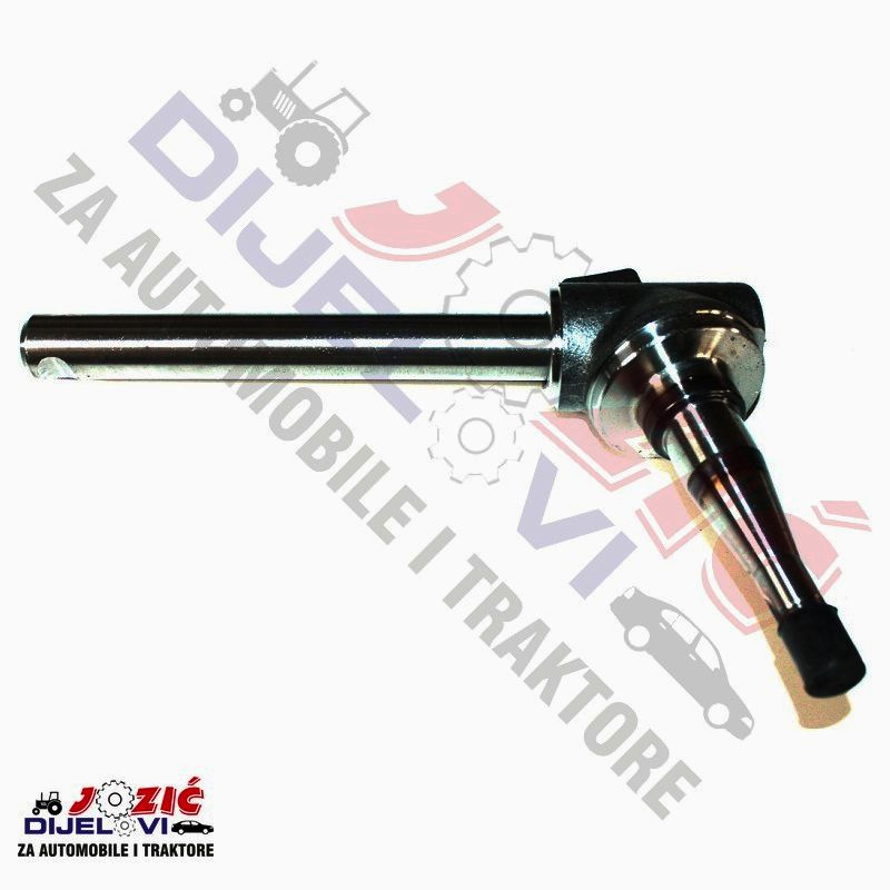 Daisy on the Ohoopee