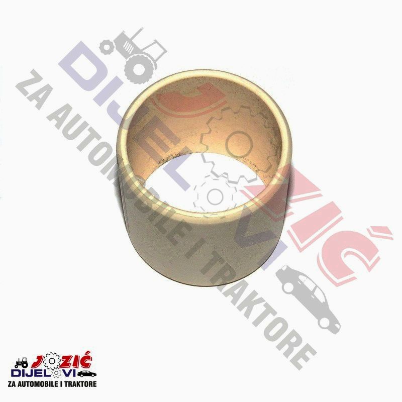 Daisy on the Ohoopee