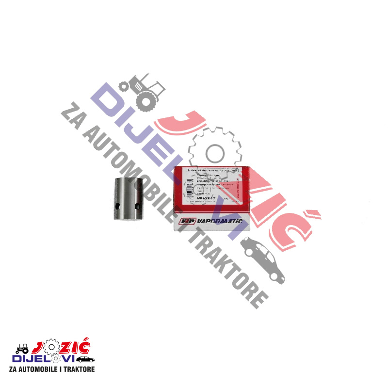 Daisy on the Ohoopee