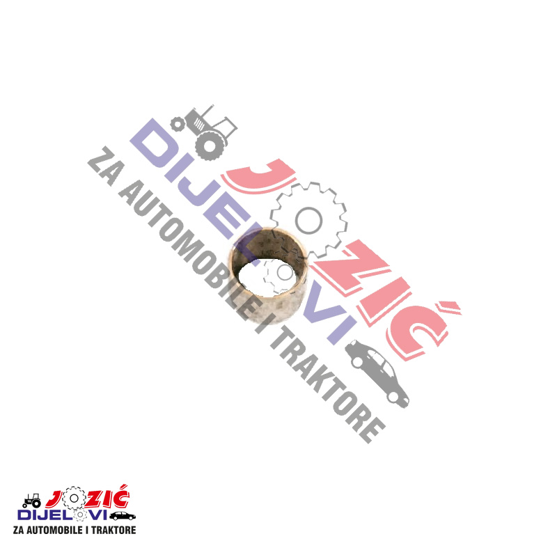 Daisy on the Ohoopee