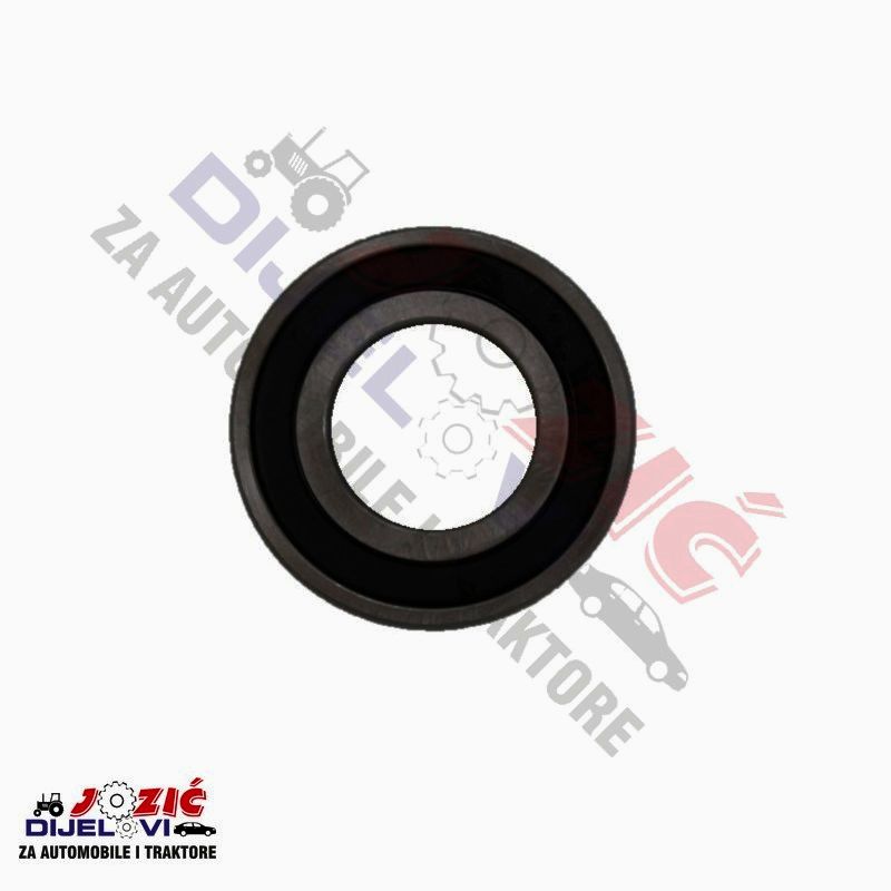 Daisy on the Ohoopee