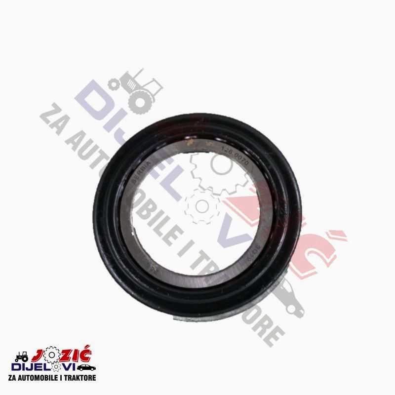 Daisy on the Ohoopee