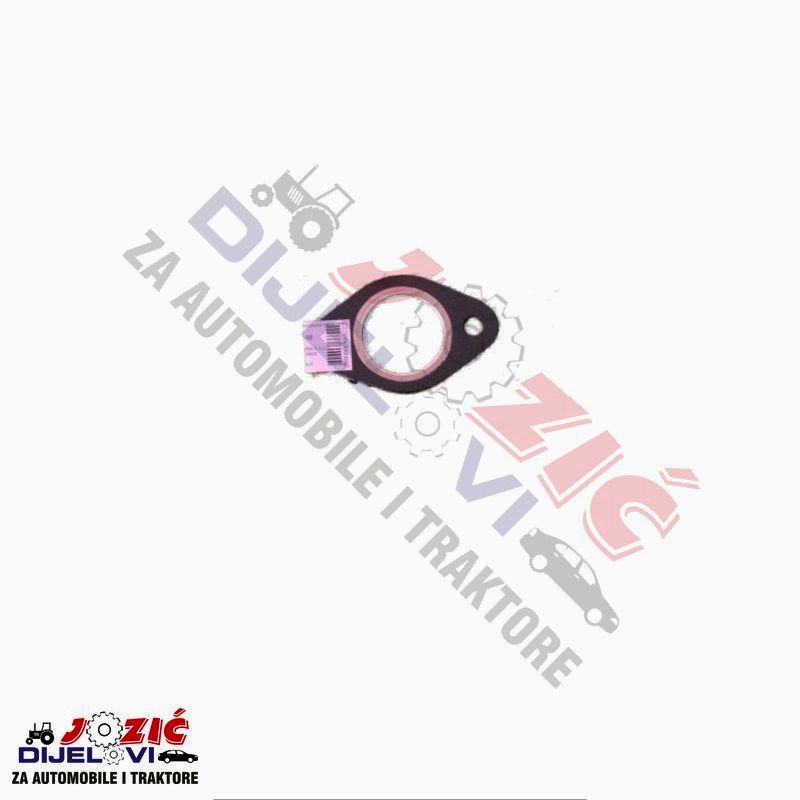 Daisy on the Ohoopee