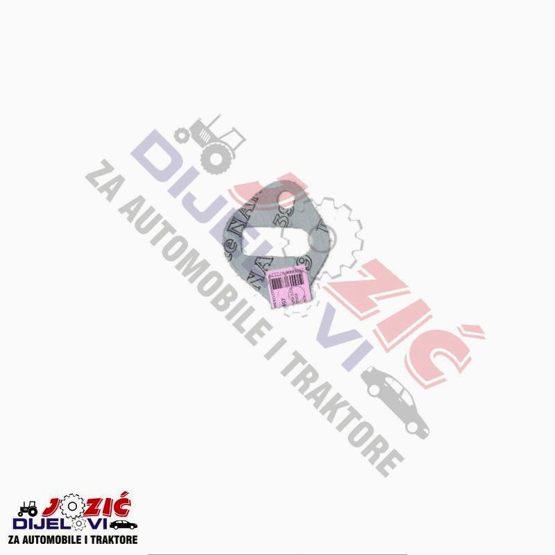 Daisy on the Ohoopee