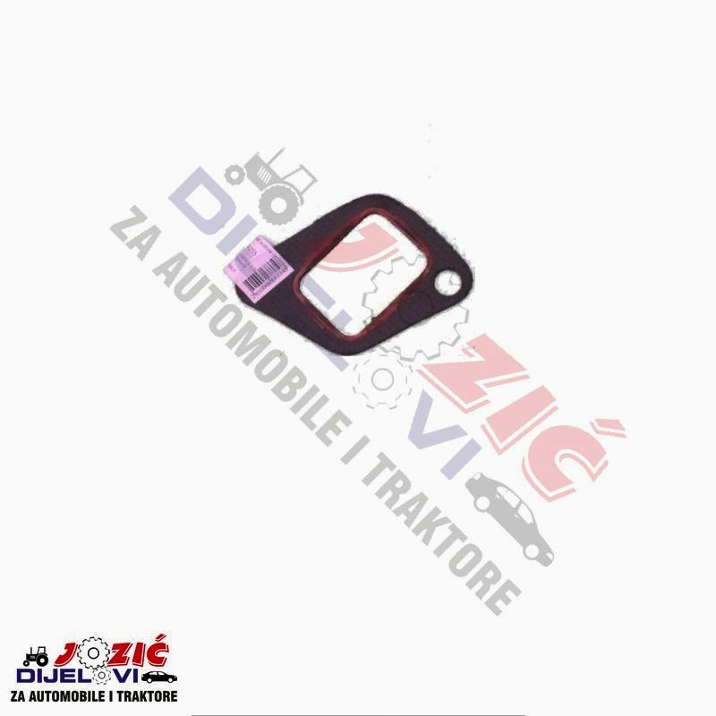 Daisy on the Ohoopee