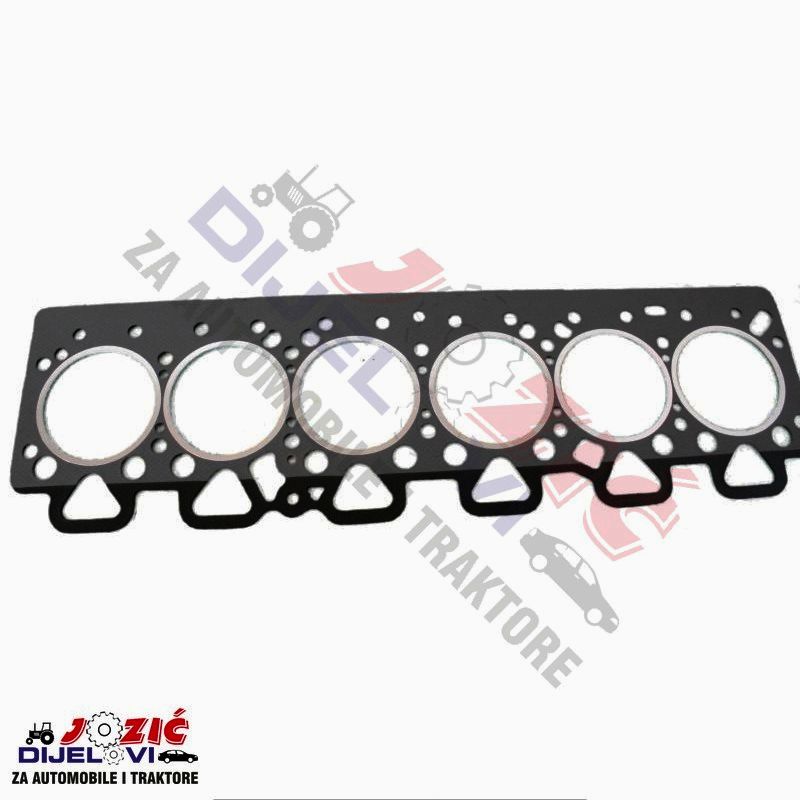 Daisy on the Ohoopee